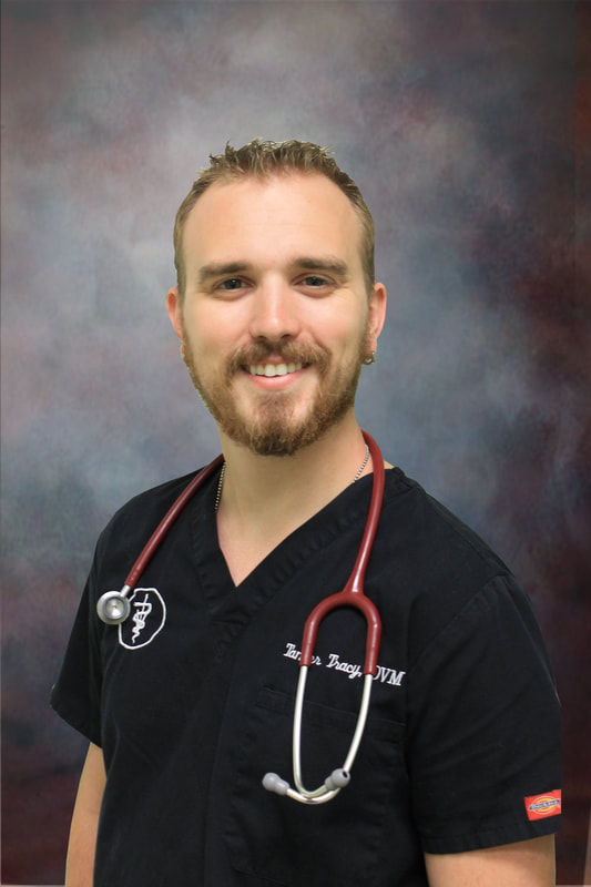 Dr. Tanner Tracy, DVM