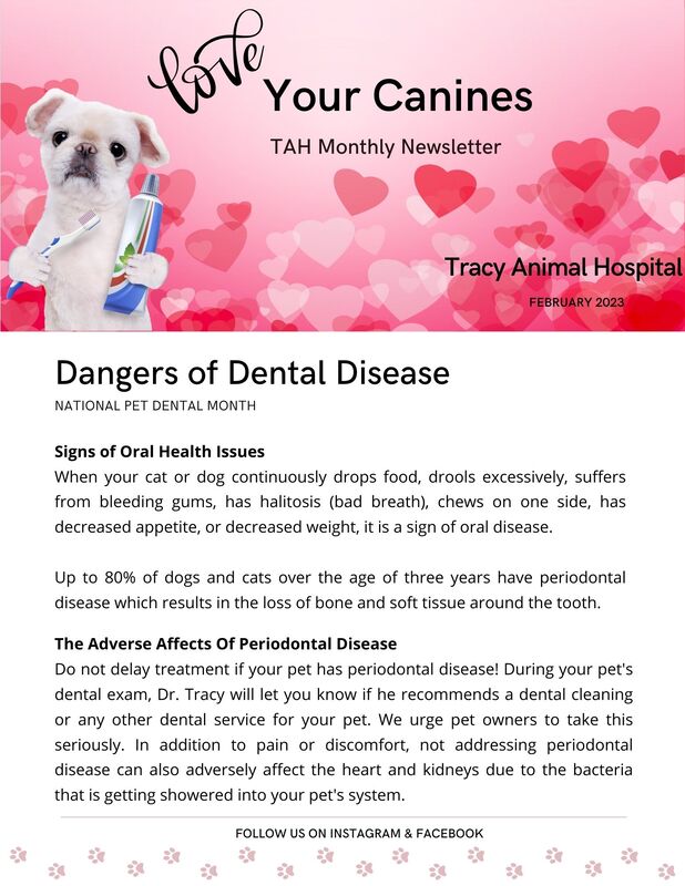 Tracy Animal Hospital Newsletter - Dental Month