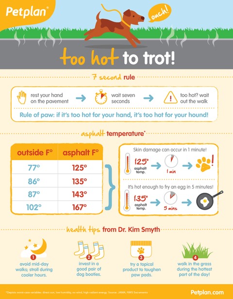Tracy Animal Hospital | Too Hot to Trot