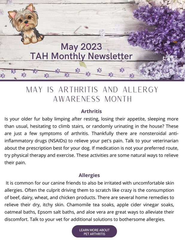 Tracy Animal Hospital Newsletter - Arthritis and Allergy Awareness Month