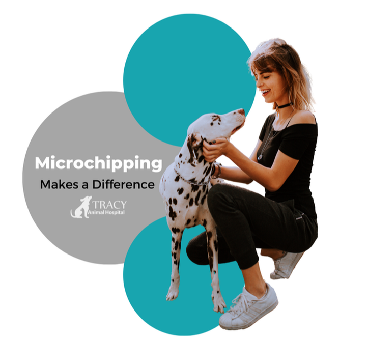 Tracy Animal Hospital - Microchip Pets - Cypress, TX