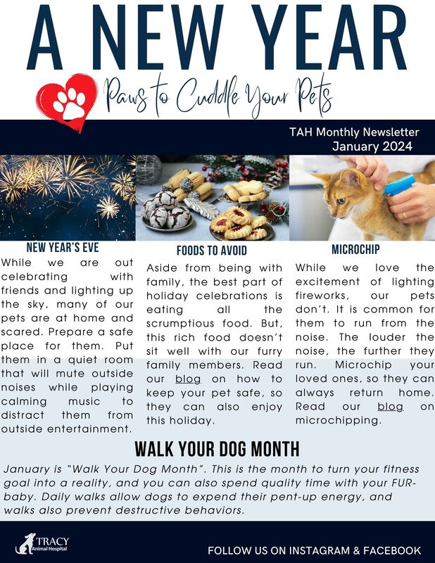 Tracy Animal Hospital Newsletter - National Pet Preparedness Month