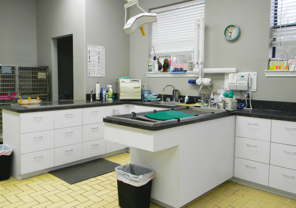 Tracy Animal Hospital - Surgical Recovery Room
